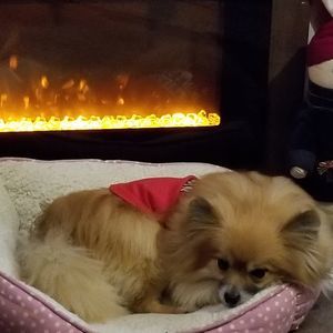 Meet your Posher, Katheryn